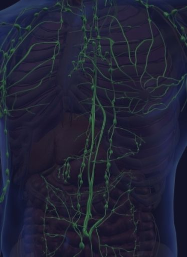 Non-hodgkin's Lymphoma