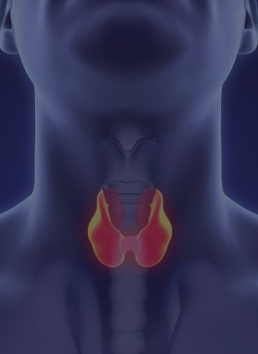 Thyroid Cancer